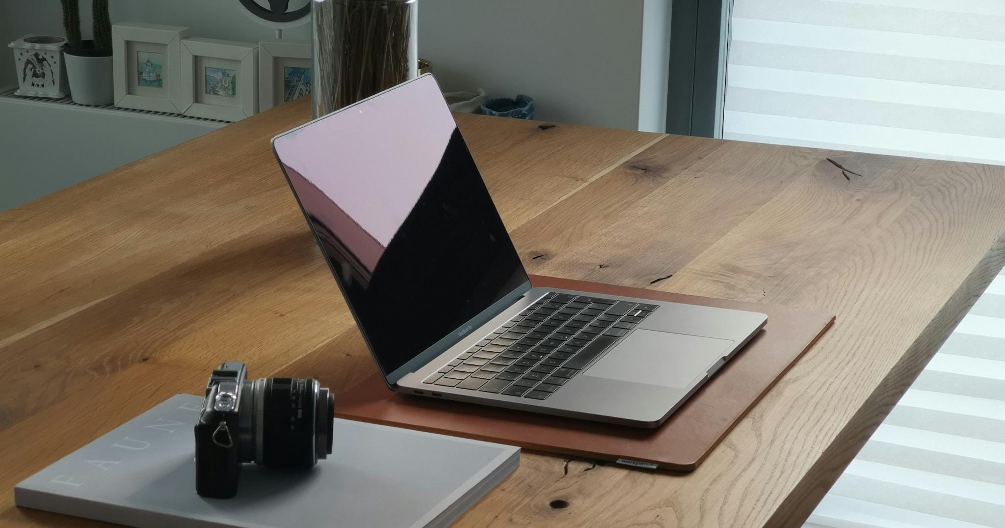 Décor de bureau moderne avec plantes vertes et écran montrant un paysage